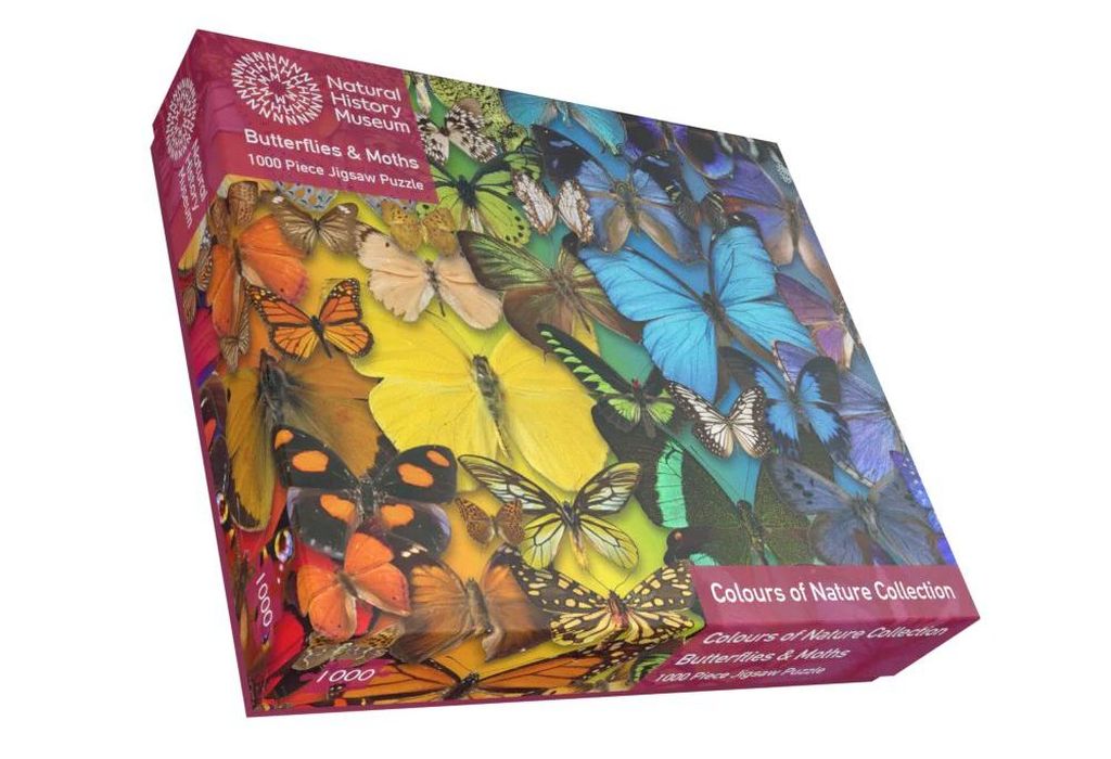 Butterflies & Moths
